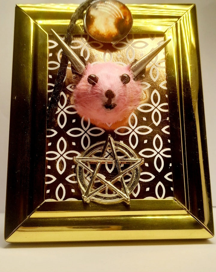 Dark Devil Mouse Head In Frame