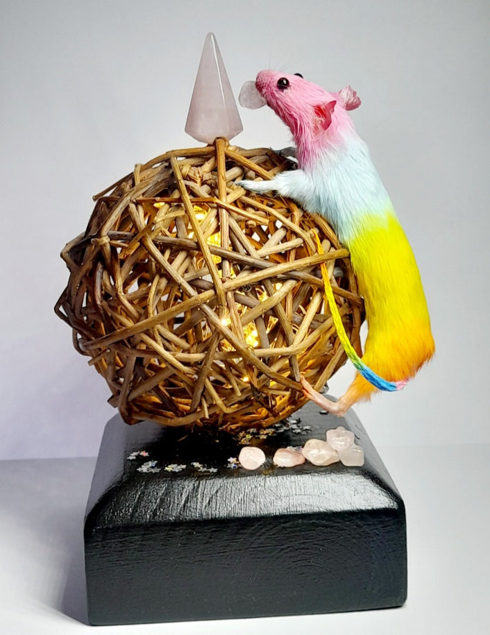 Light Up Rainbow Mouse Lamp