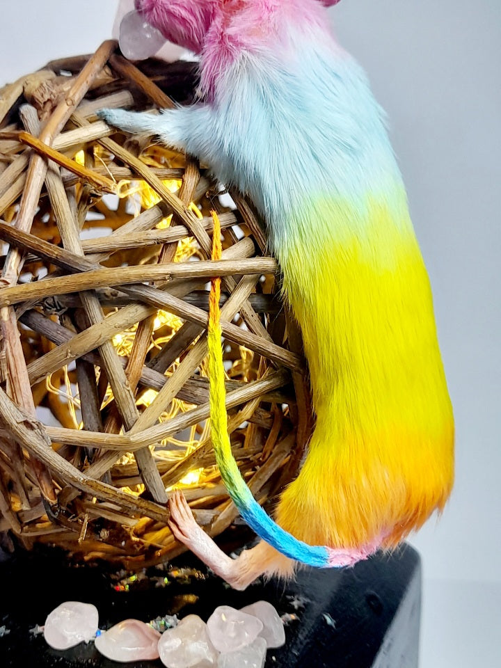 Light Up Rainbow Mouse Lamp