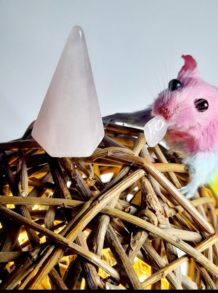 Light Up Rainbow Mouse Lamp