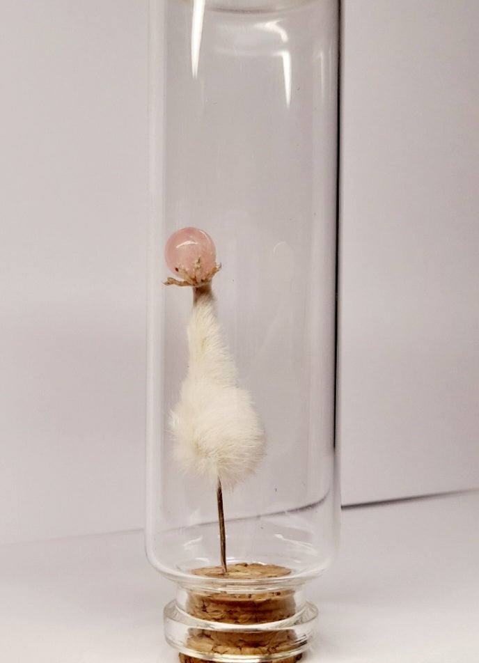 Rose Quartz In Mouse Paw