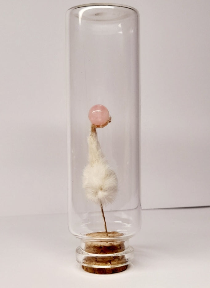 Rose Quartz In Mouse Paw