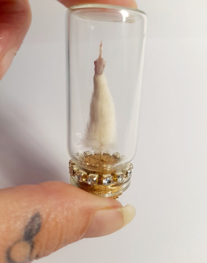 A Very Naughty White Mouse Arm In A Glass Vial