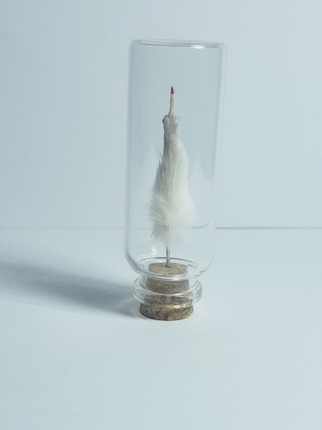 Red Nails Naughty White Taxidermy Mouse Arm