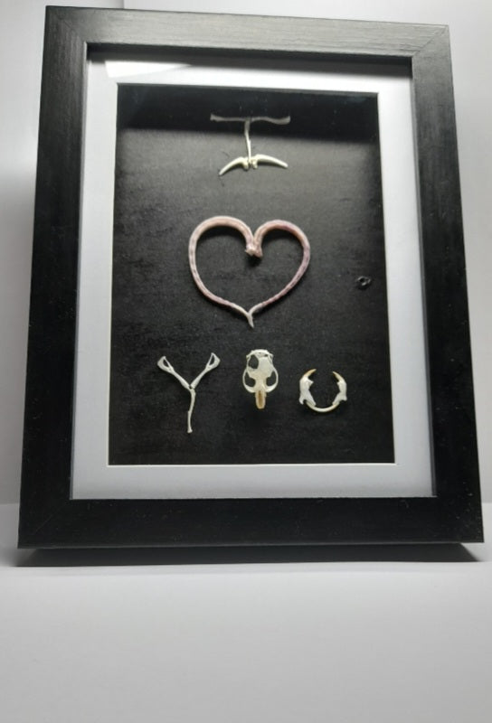 I Love You Mouse Bone & Tail Frame
