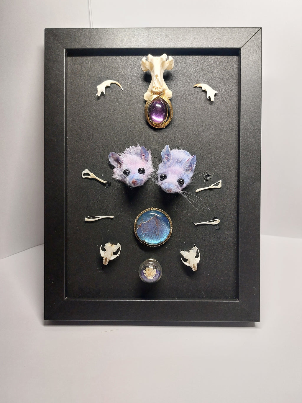 Double Trouble Taxidermy Mouse Head Oddity Frame
