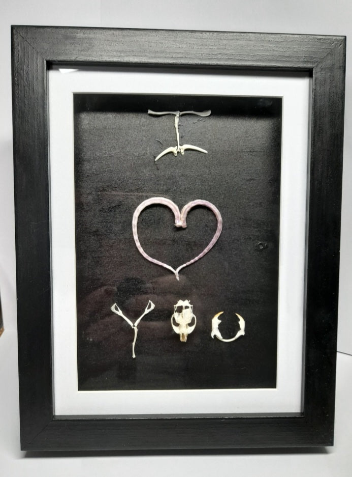 I Love You Mouse Bone & Tail Frame