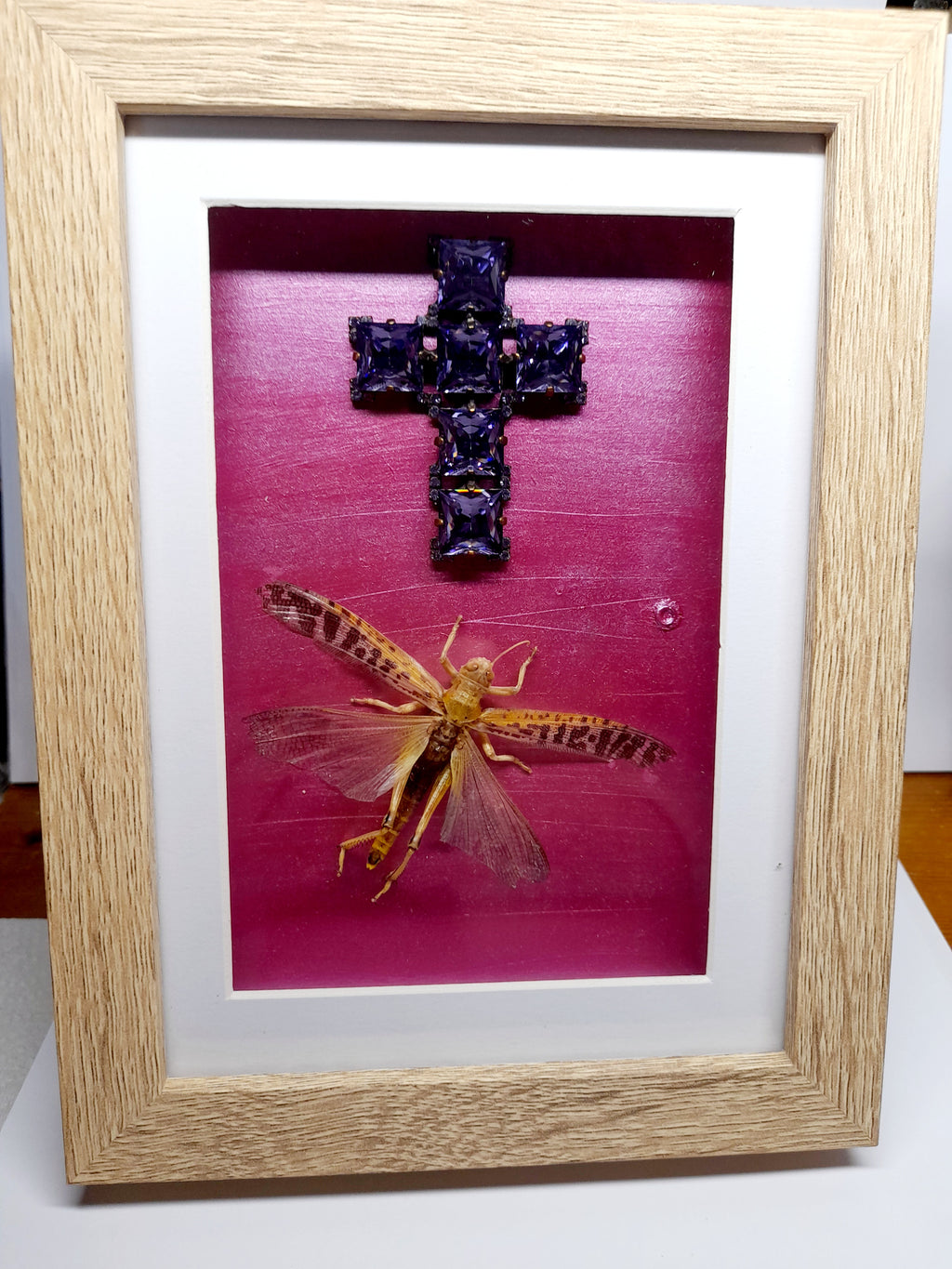 Real Locust With Cross Frame