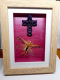Real Locust With Cross Frame