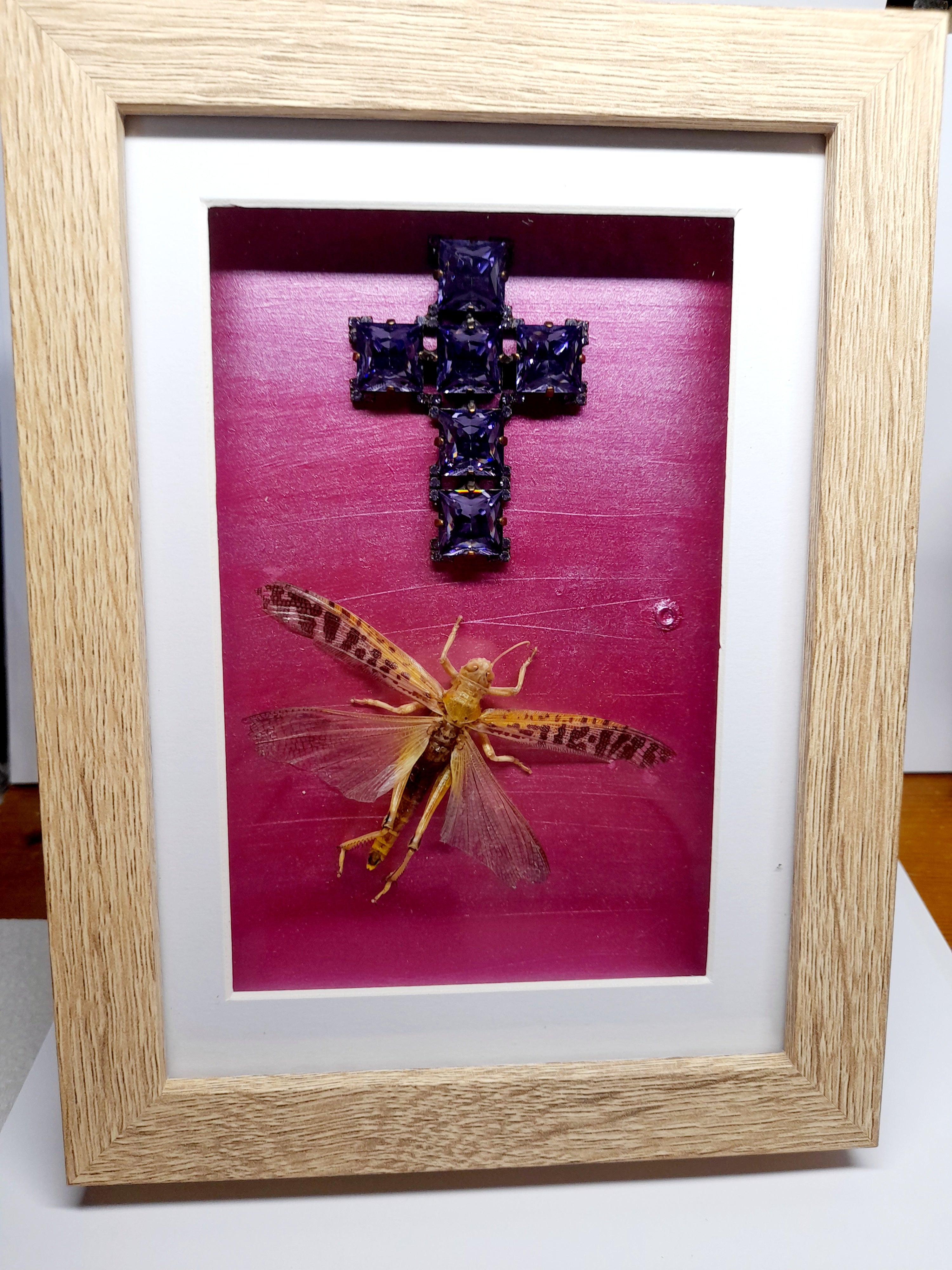 Real Locust With Cross Frame