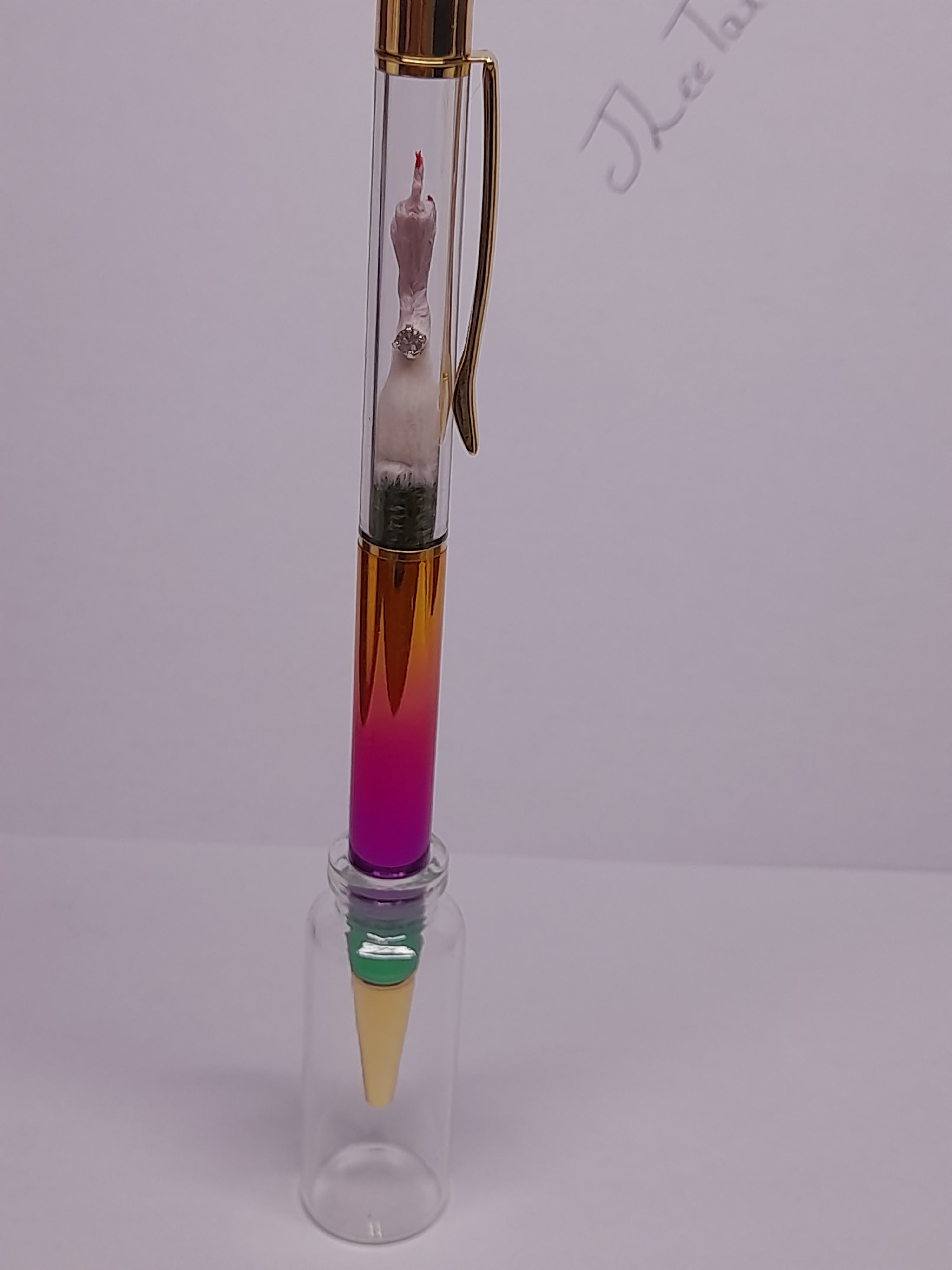 Fuxk You Pen Friend- White Arm & Rainbow Barrel