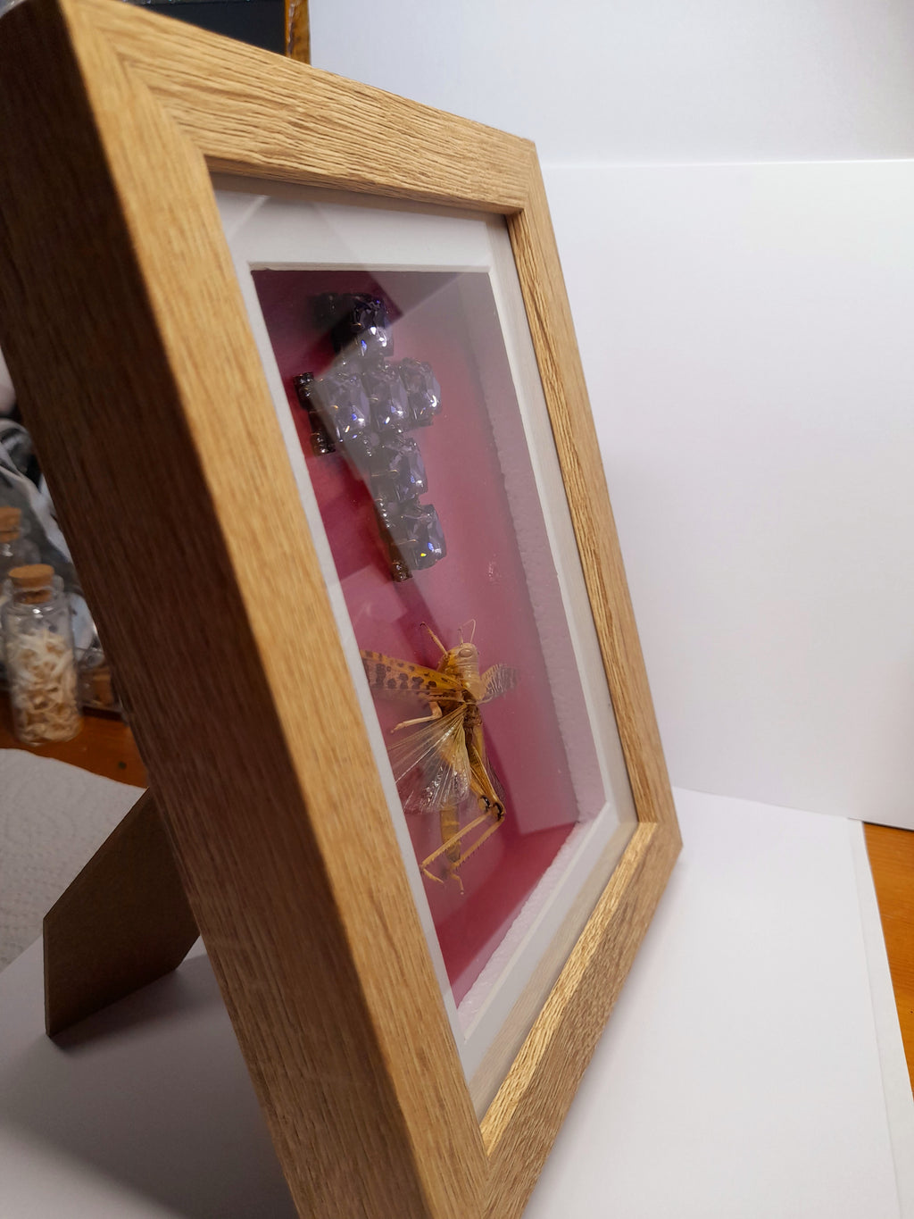 Real Locust With Cross Frame