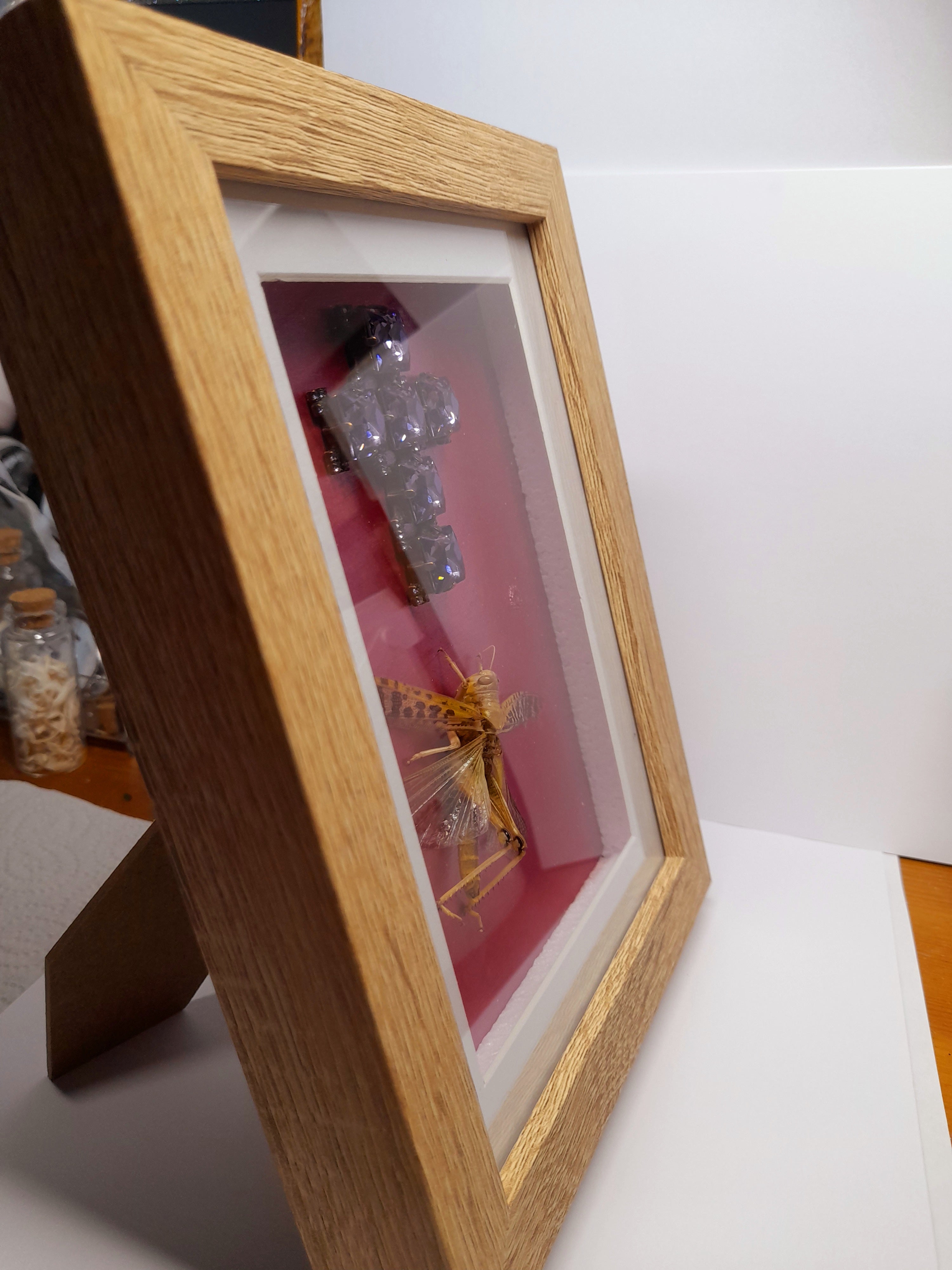 Real Locust With Cross Frame