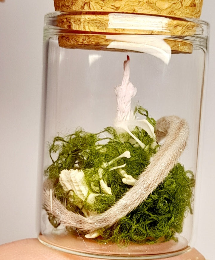 Bone Forest Rude Mouse Arm & Tail