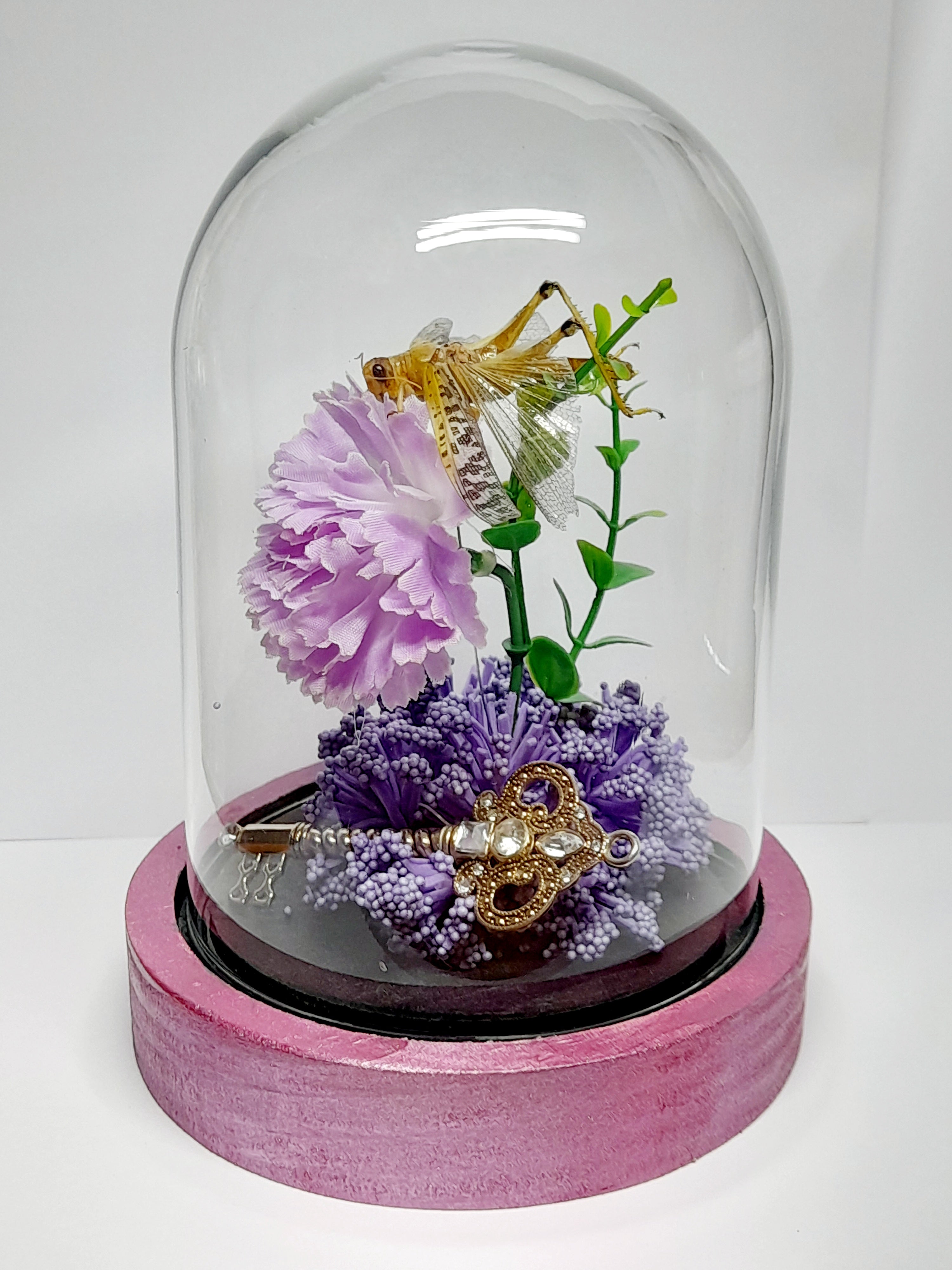 Real Locust Oddity Glass Dome