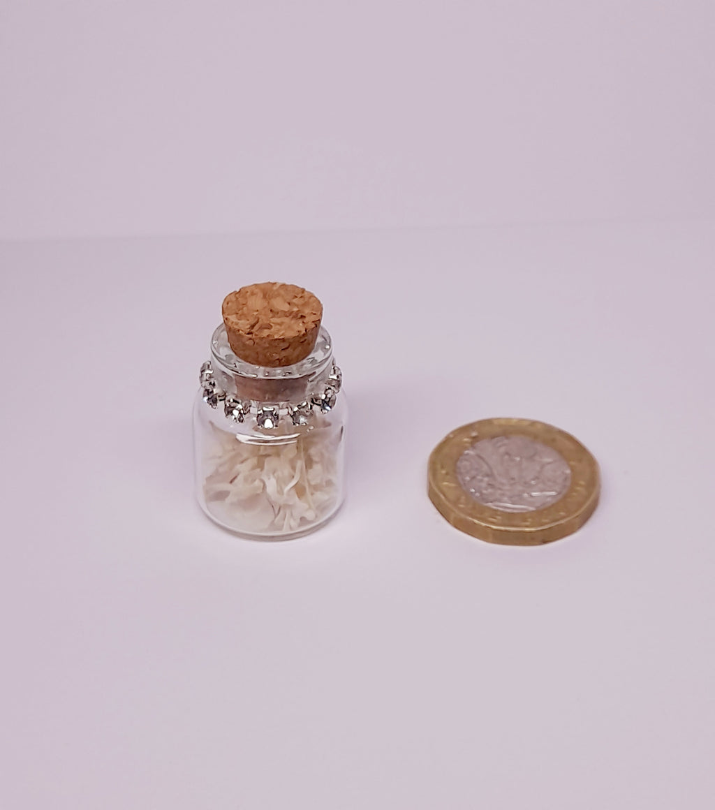 Rodent Bones In Bottle