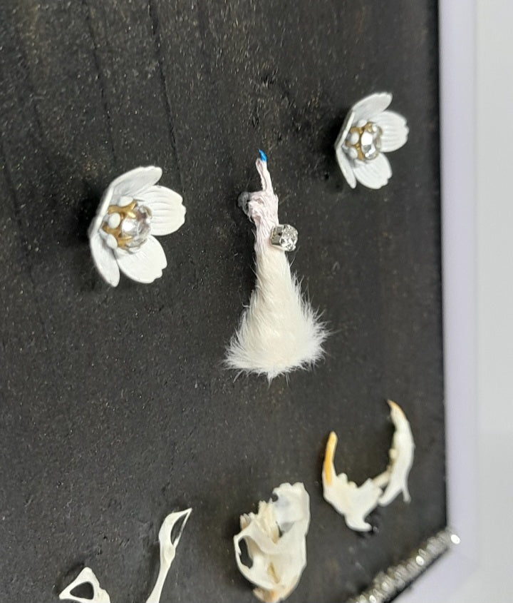 Very Rude Taxidermy & Rodent Bone 6x4 Frame