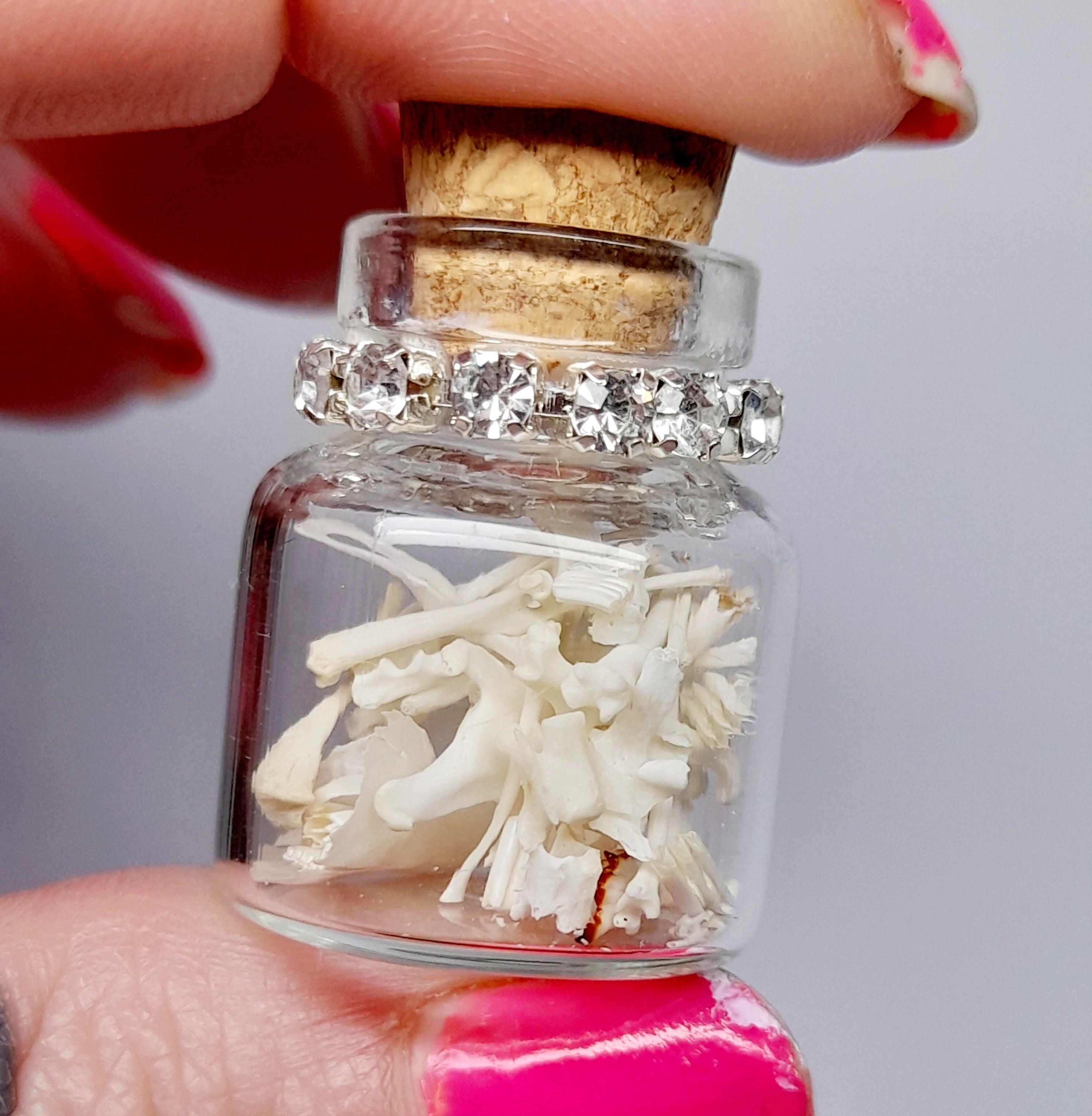 Rodent Bones In Bottle