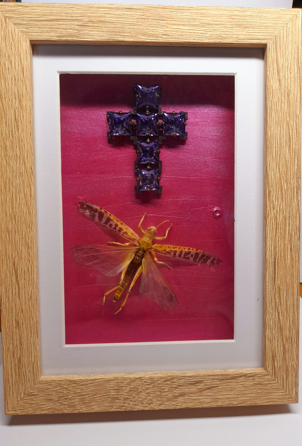Real Locust With Cross Frame