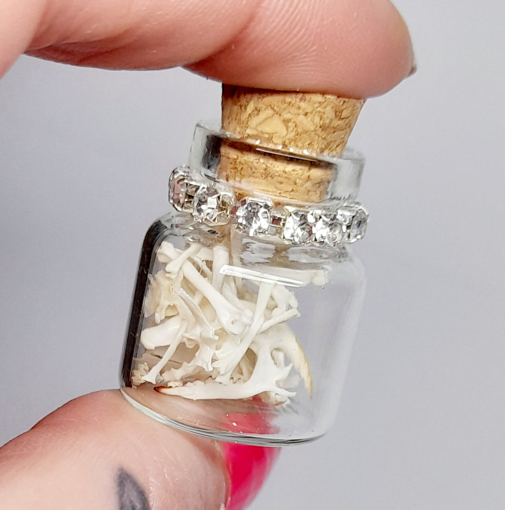 Rodent Bones In Bottle