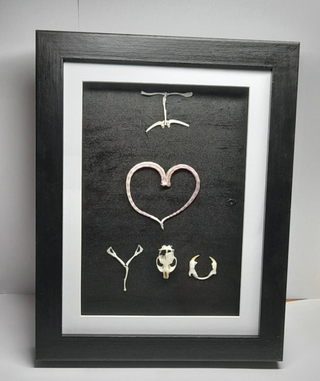 I Love You Mouse Bone & Tail Frame