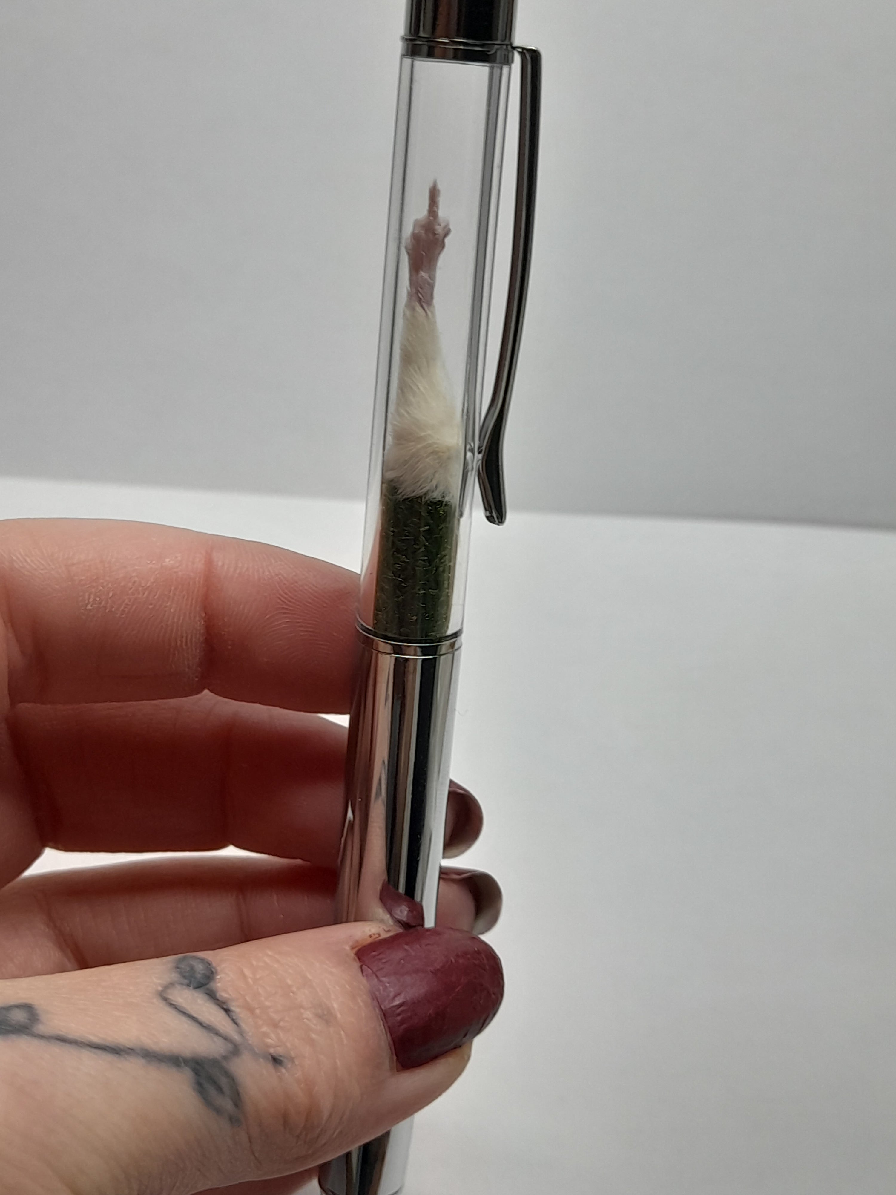 Fuxk You Pen Friend- White Arm & Silver Barrel