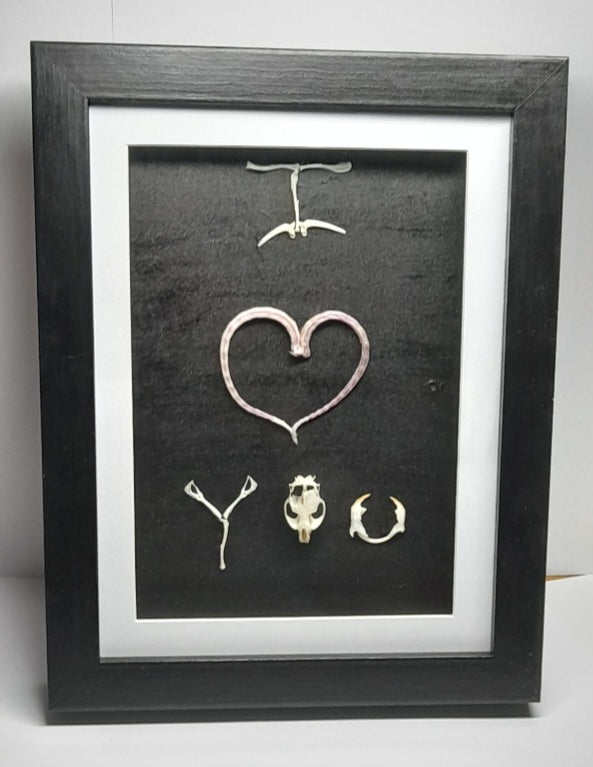 I Love You Mouse Bone & Tail Frame