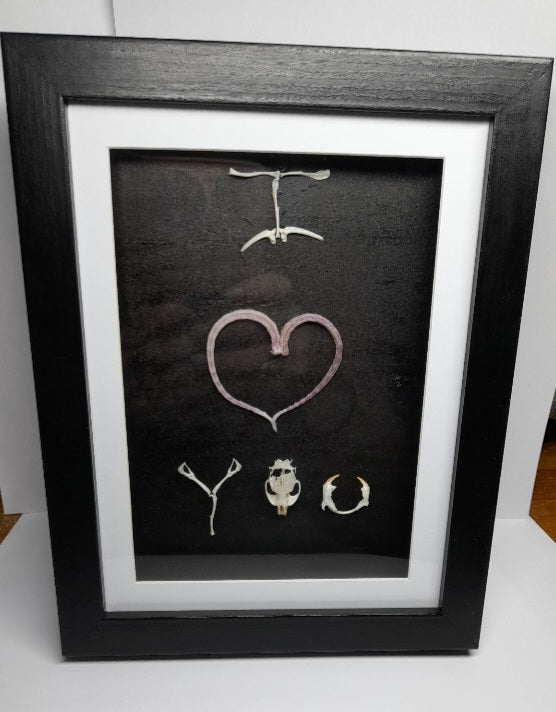 I Love You Mouse Bone & Tail Frame