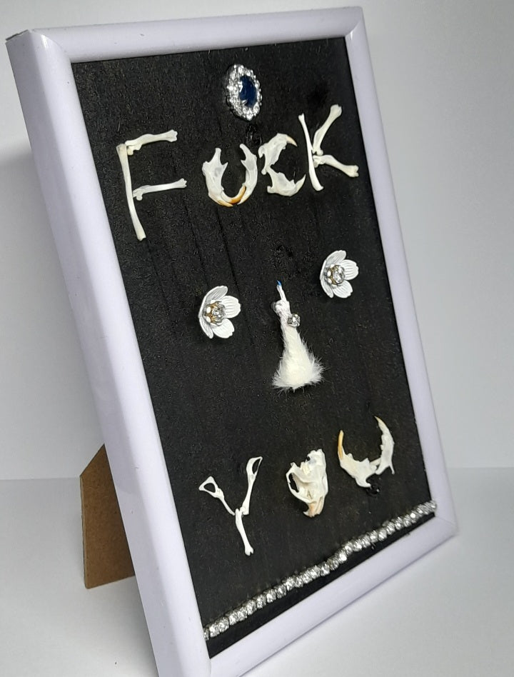 Very Rude Taxidermy & Rodent Bone 6x4 Frame