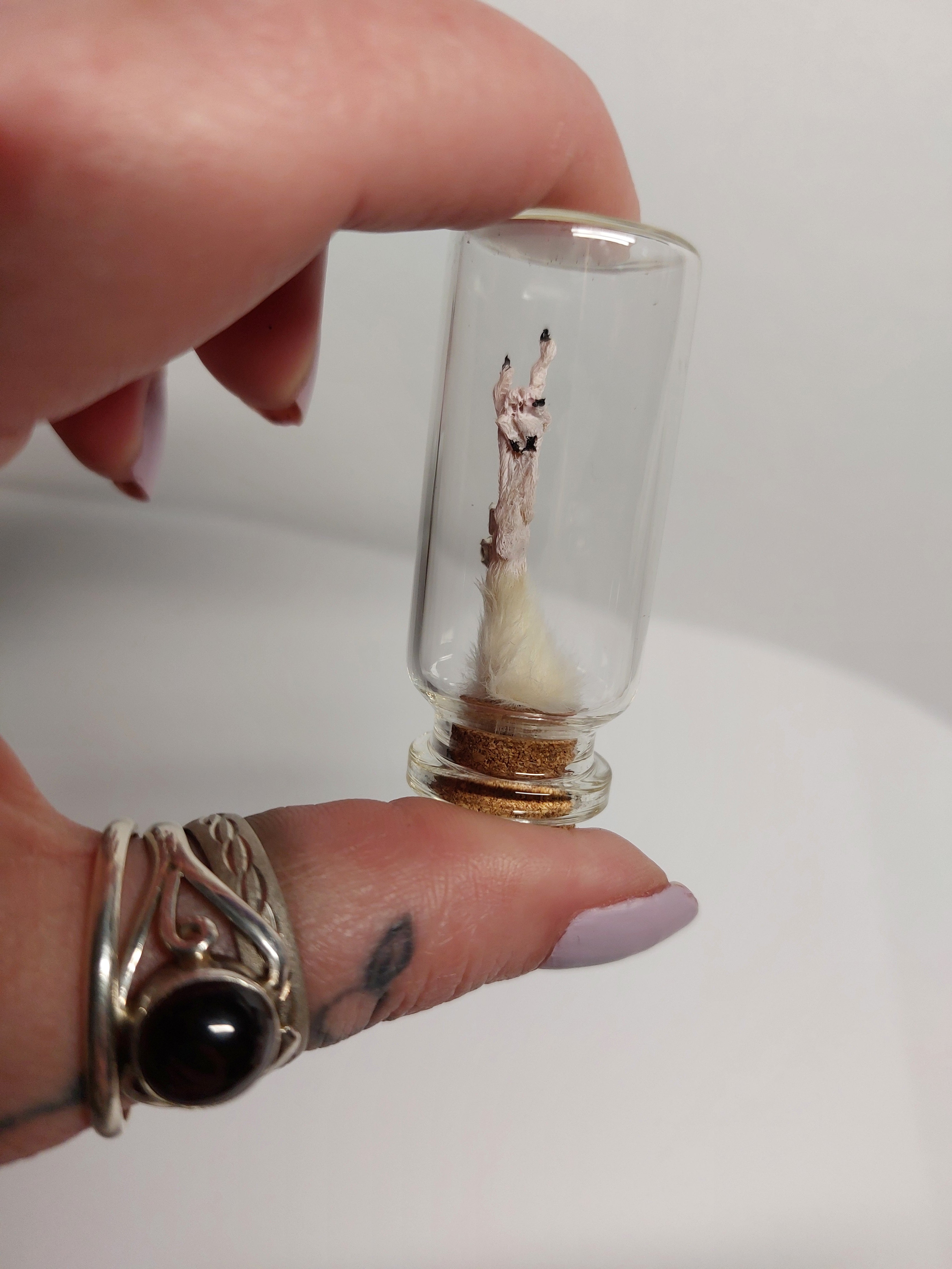 Rocker Taxidermy Mouse Arm With Jewel