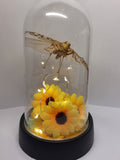 Locust In Light Up Dome