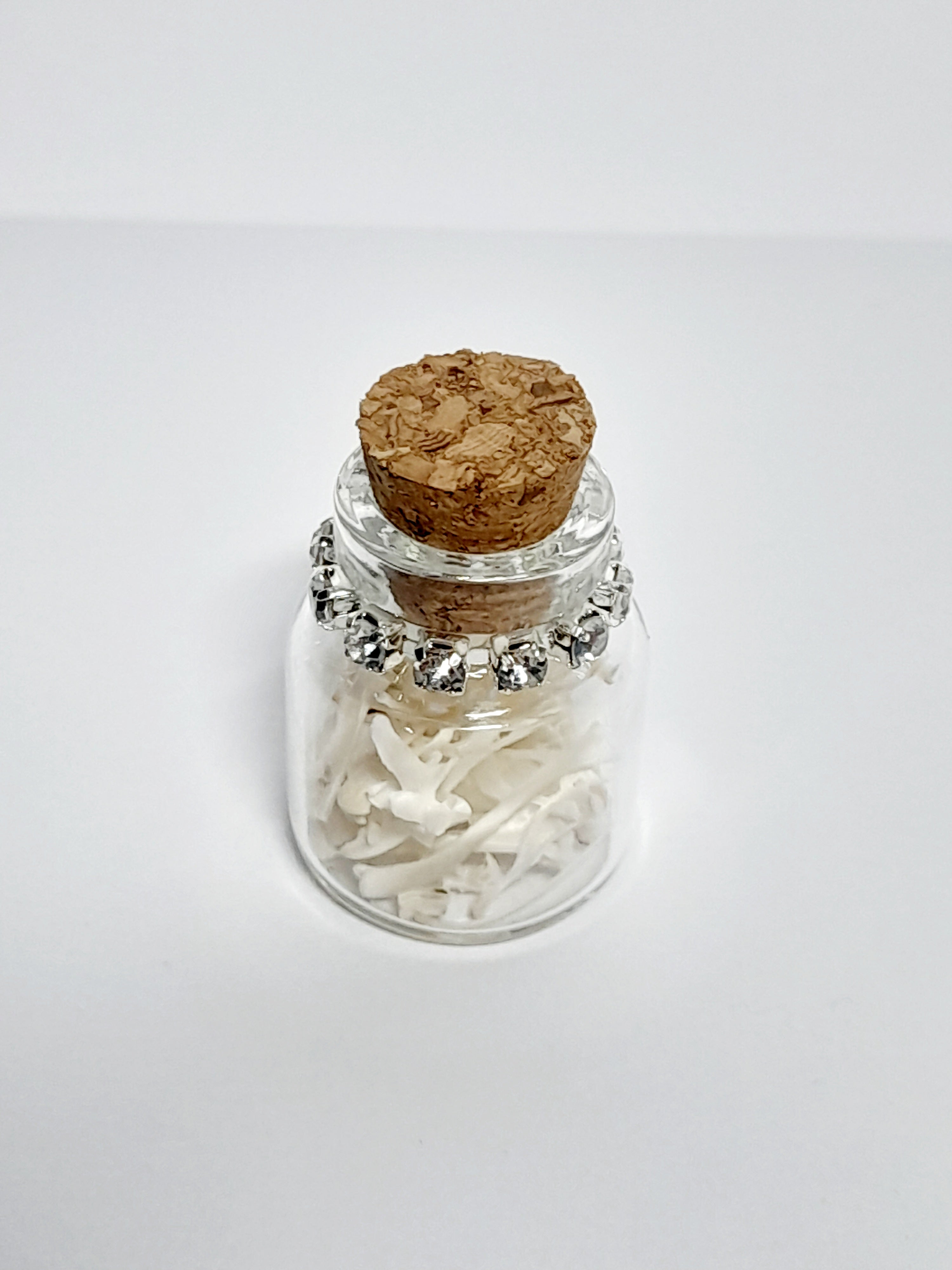 Rodent Bones In Bottle
