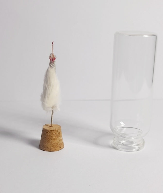 Red Nails Naughty White Taxidermy Mouse Arm