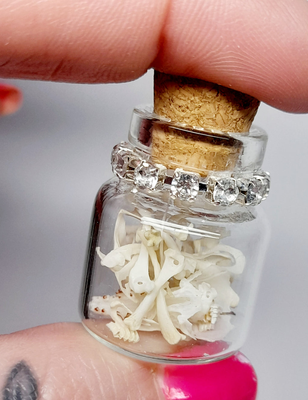 Rodent Bones In Bottle