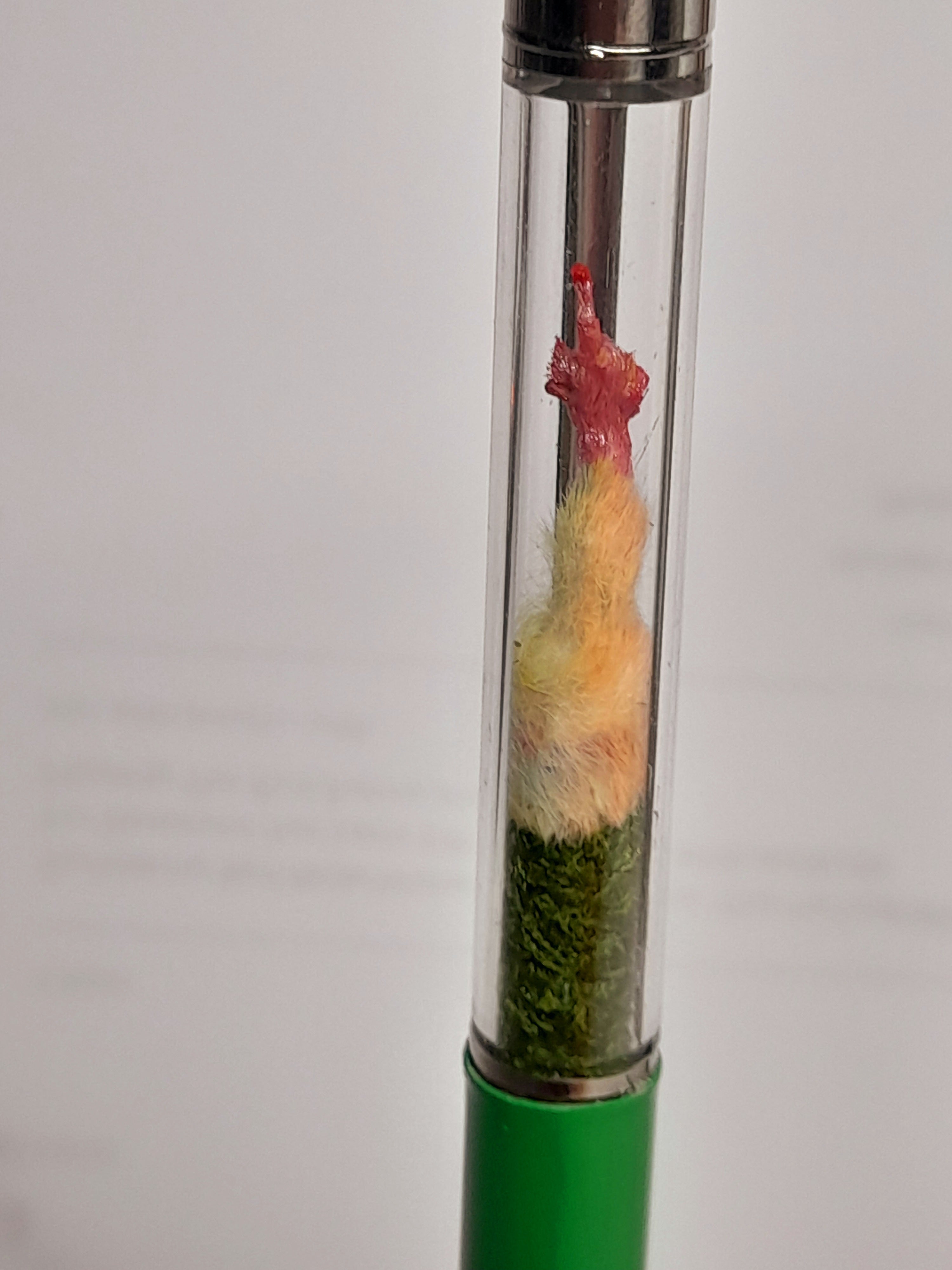 Fuxk You Pen Friend- Tie-dye Multicolour