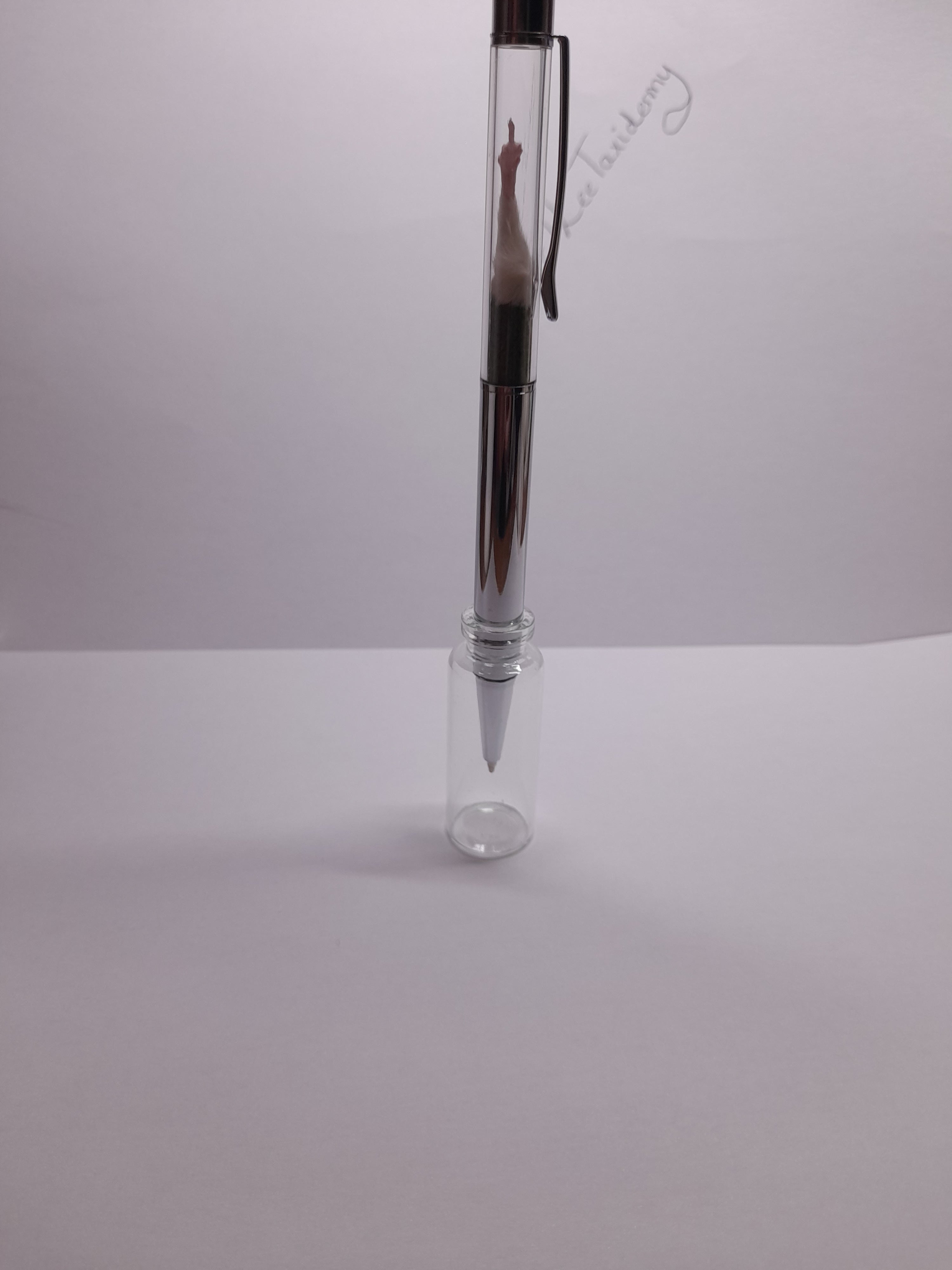 Fuxk You Pen Friend- White Arm & Silver Barrel