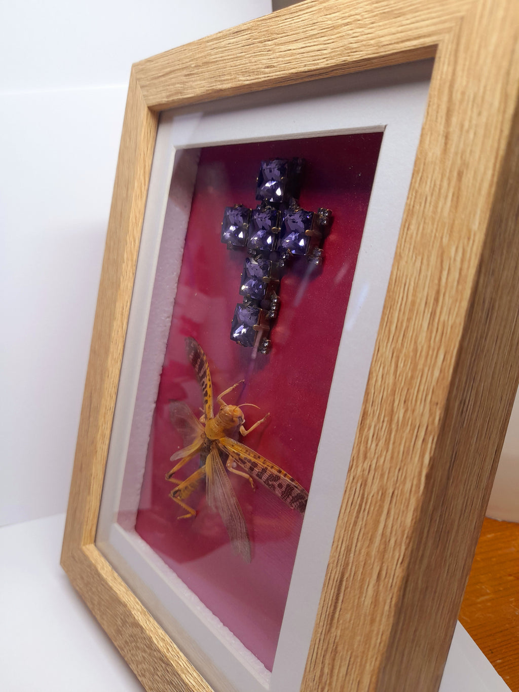 Real Locust With Cross Frame