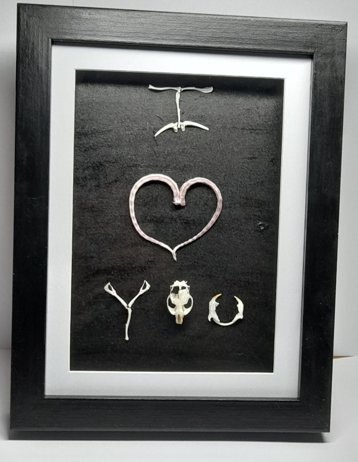 I Love You Mouse Bone & Tail Frame