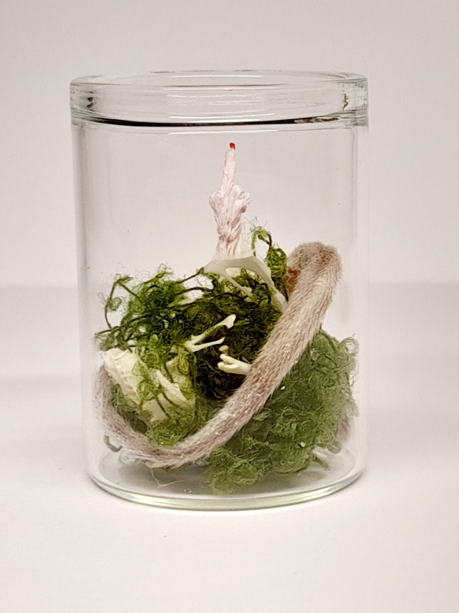 Bone Forest Rude Mouse Arm & Tail