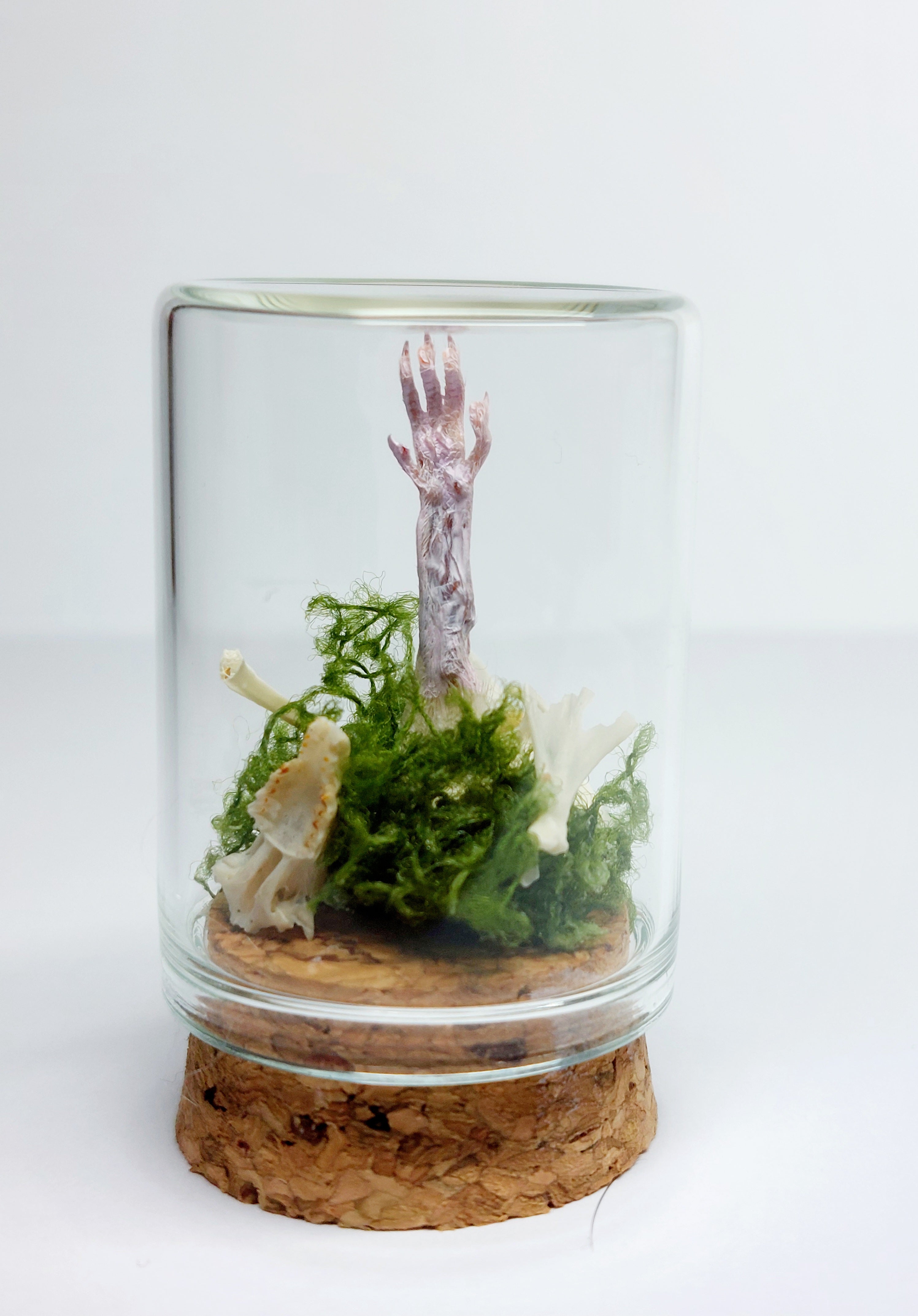 White Zombie Arm With Real Bones