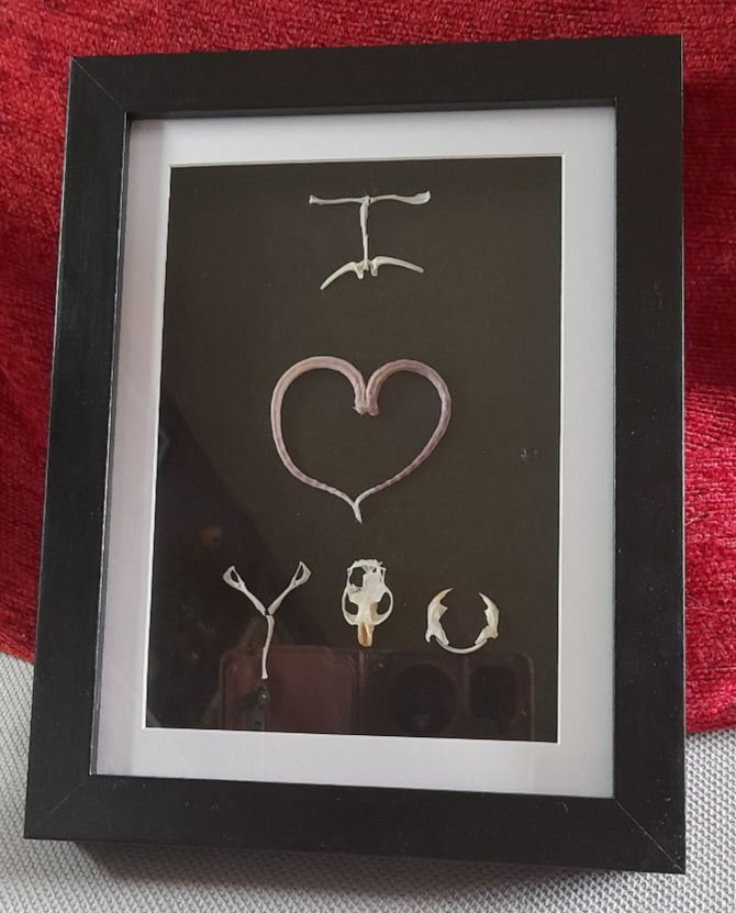 I Love You Mouse Bone & Tail Frame