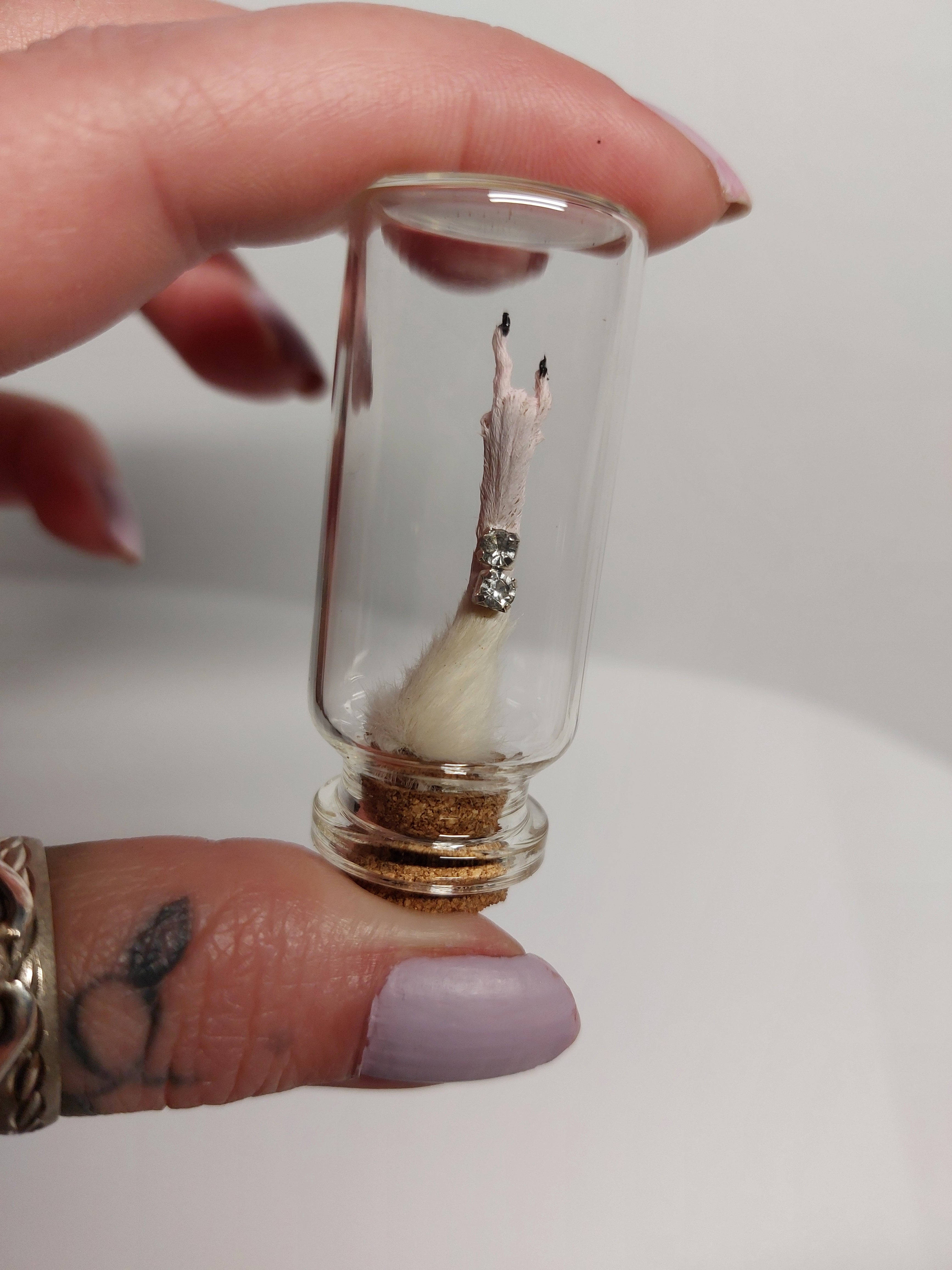Rocker Taxidermy Mouse Arm With Jewel