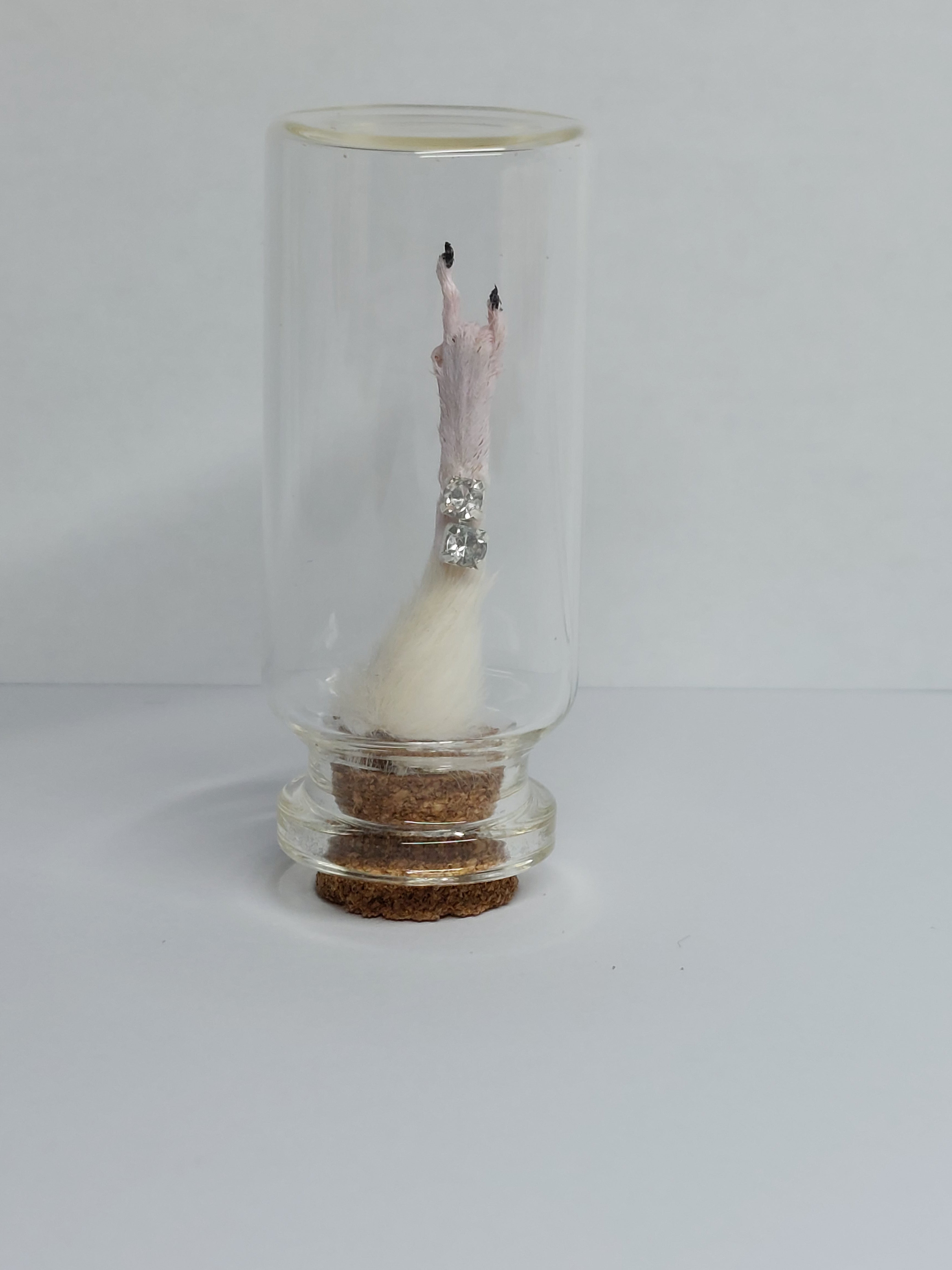 Rocker Taxidermy Mouse Arm With Jewel