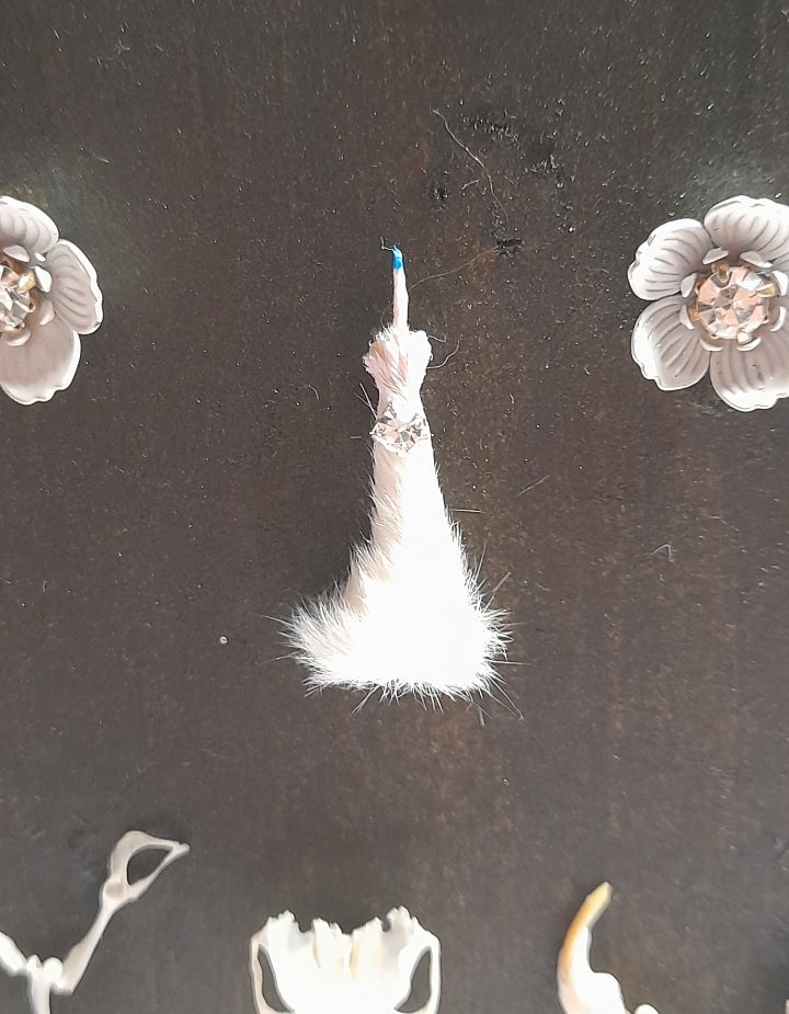 Very Rude Taxidermy & Rodent Bone 6x4 Frame