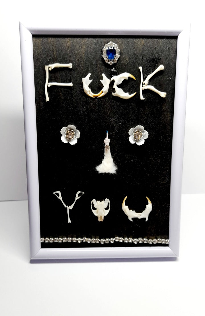 Very Rude Taxidermy & Rodent Bone 6x4 Frame