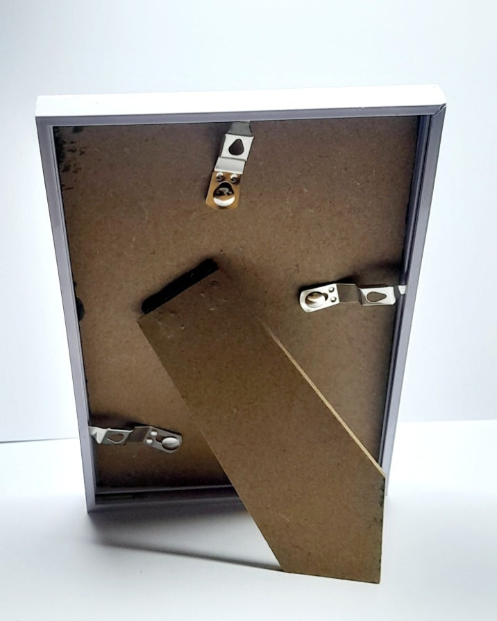 Very Rude Taxidermy & Rodent Bone 6x4 Frame