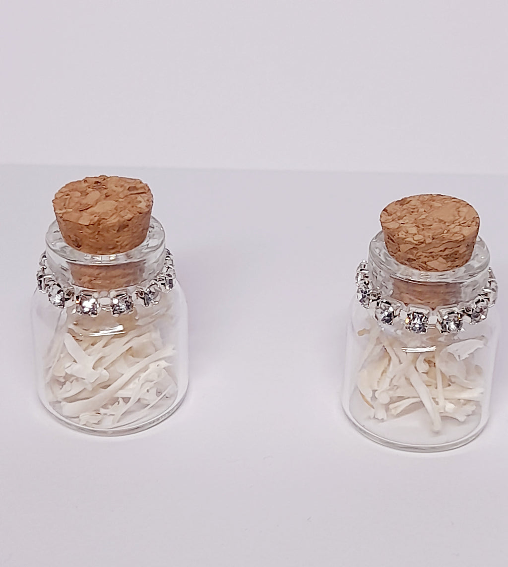 Rodent Bones In Bottle