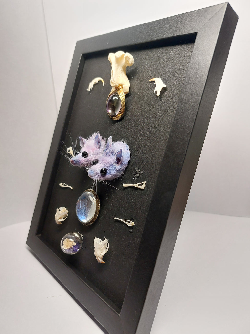 Double Trouble Taxidermy Mouse Head Oddity Frame