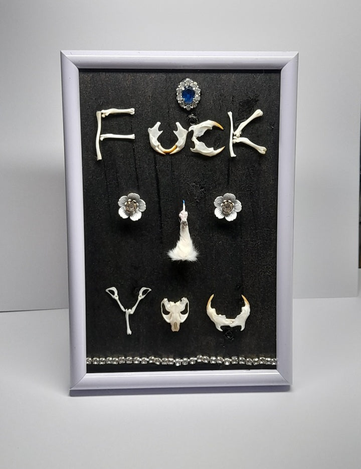 Very Rude Taxidermy & Rodent Bone 6x4 Frame