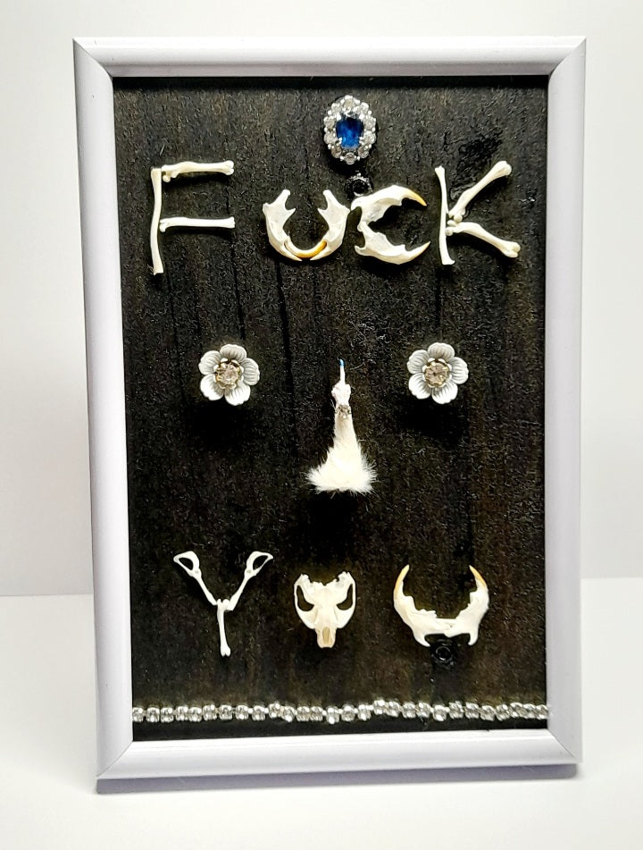 Very Rude Taxidermy & Rodent Bone 6x4 Frame